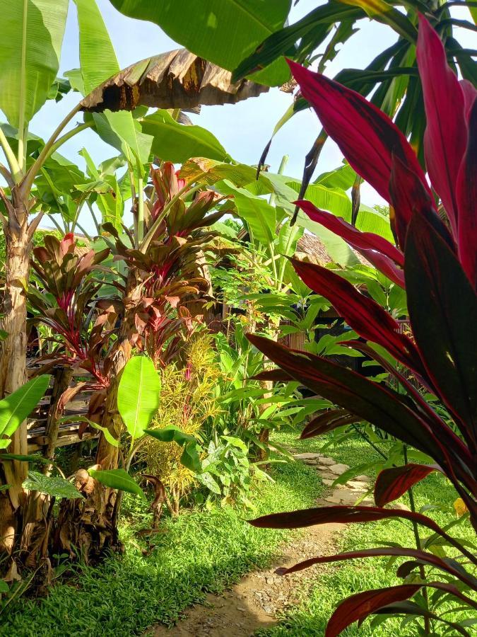 Banana Grove El Nido酒店 外观 照片
