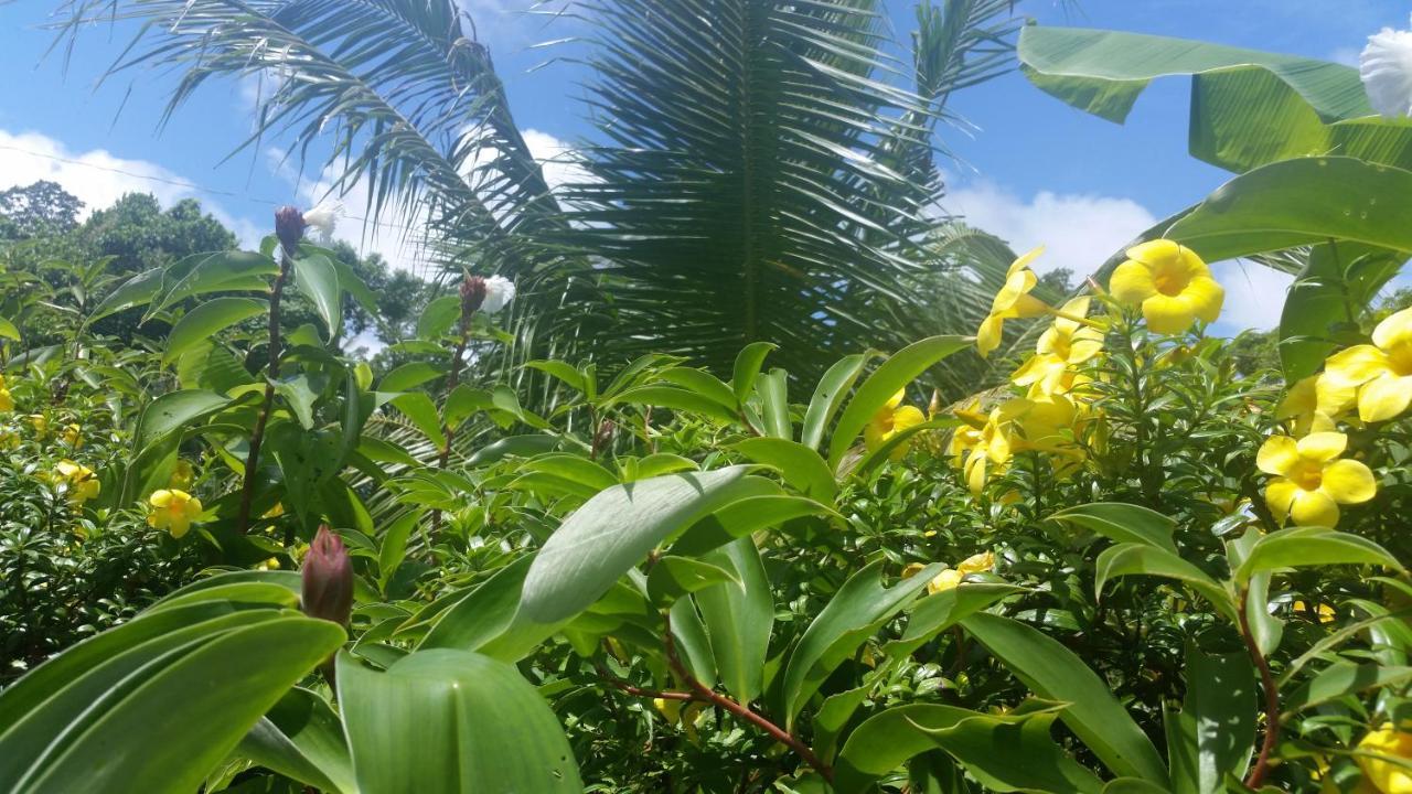 Banana Grove El Nido酒店 外观 照片